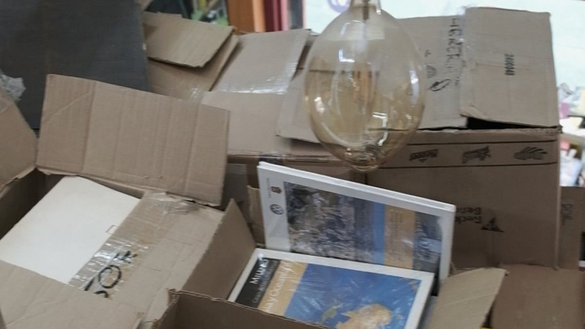 Todos los libros a $50 en Roma Sur | Bajío 156